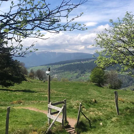 Appartement Eau-vive, à 15kms De Colmar Labaroche