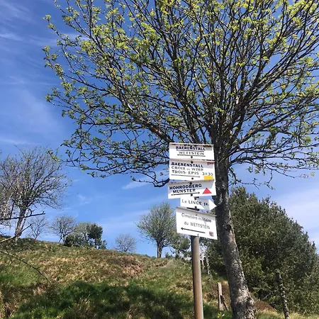 Eau-vive, à 15kms De Colmar *