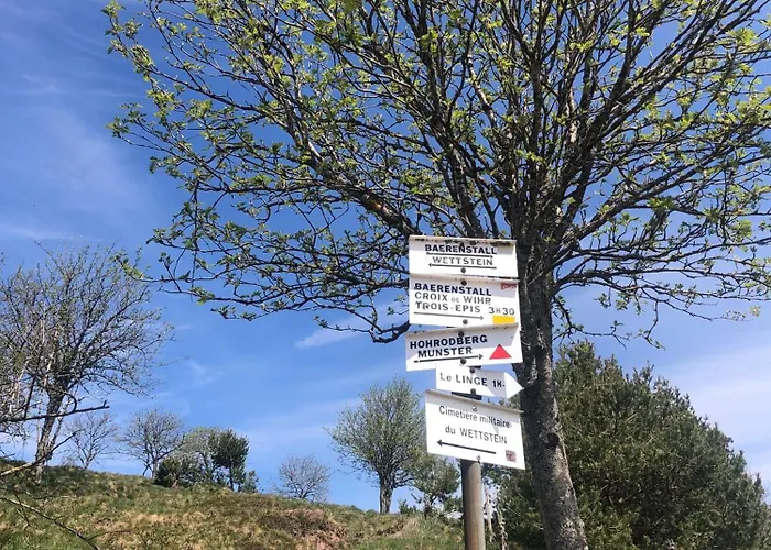 Eau-vive, A 15kms De Colmar *